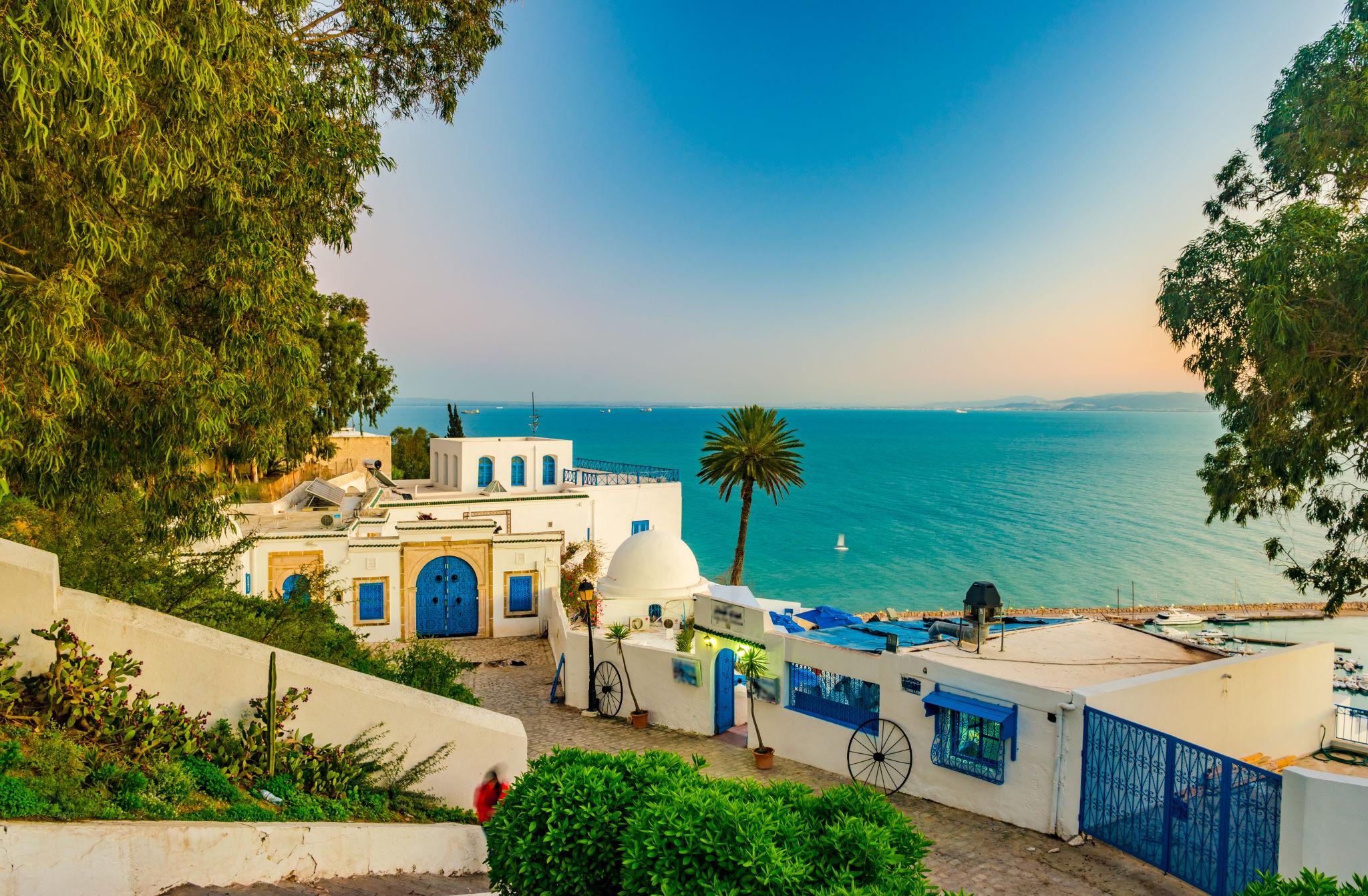 Sidi Bou Said View